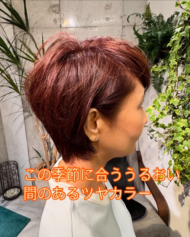 Dude☻Yokohama

グレーヘアーでもこのシーズンに暖かみのあるうるおい感のあるツヤカラーです✨

お肌の色や全体の雰囲気でいろんなツヤ感出しながらカラーしていきます✨

🤩🤩🤩🤩🤩🤩🤩🤩🤩🤩🤩🤩🤩🤩🤩🤩

#Dude☺︎Yokohama
#DudeYokohama 
#横浜西口プライベートサロン 
#横浜西口美容室
#横浜西口ショートボブ
#横浜西口ツヤカラー
#ショートスタイル　
#似合うショートヘア　
#じっくりとお話聴きます 
#english
#白髪ツヤのあるカラー　
#メンズショート髪型 
#ツーブロックヘア 
#ヘアカタログ 
#ヘアースタイル 
#大人ショート 
#プライベートサロン
#フェードカット 
#30代ヘアースタイル
#40代ヘアースタイル
#50代ヘアースタイル
#60代ヘアスタイル
#７０代ヘアースタイル