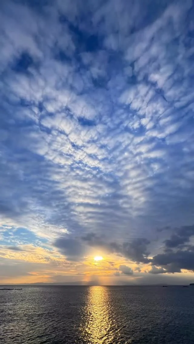 今年も良い夏でした♪
ありがとう😊
また来年｡｡｡

#dudeyokohama 
#ショートヘア 
#ショートボブ 
#大人ショートヘアー 
#ベリーショート
#くせ毛髪型 
#白髪染め
#グラデーションボブ 
#艶カラー 
#前下がりショートボブ　#前下がりショートグラデーション
#30代ヘアースタイル
#40代ヘアースタイル
#50代ヘアースタイル
#60代ヘアスタイル
#70代ヘアースタイル